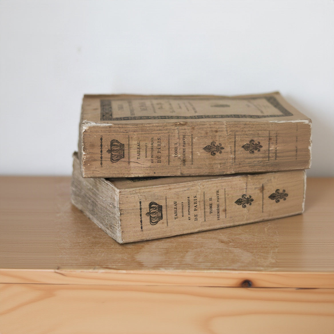 Pair of Antique French Rag Books