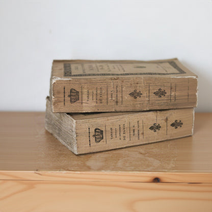 Pair of Antique French Rag Books