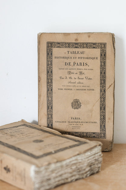 Pair of Antique French Rag Books