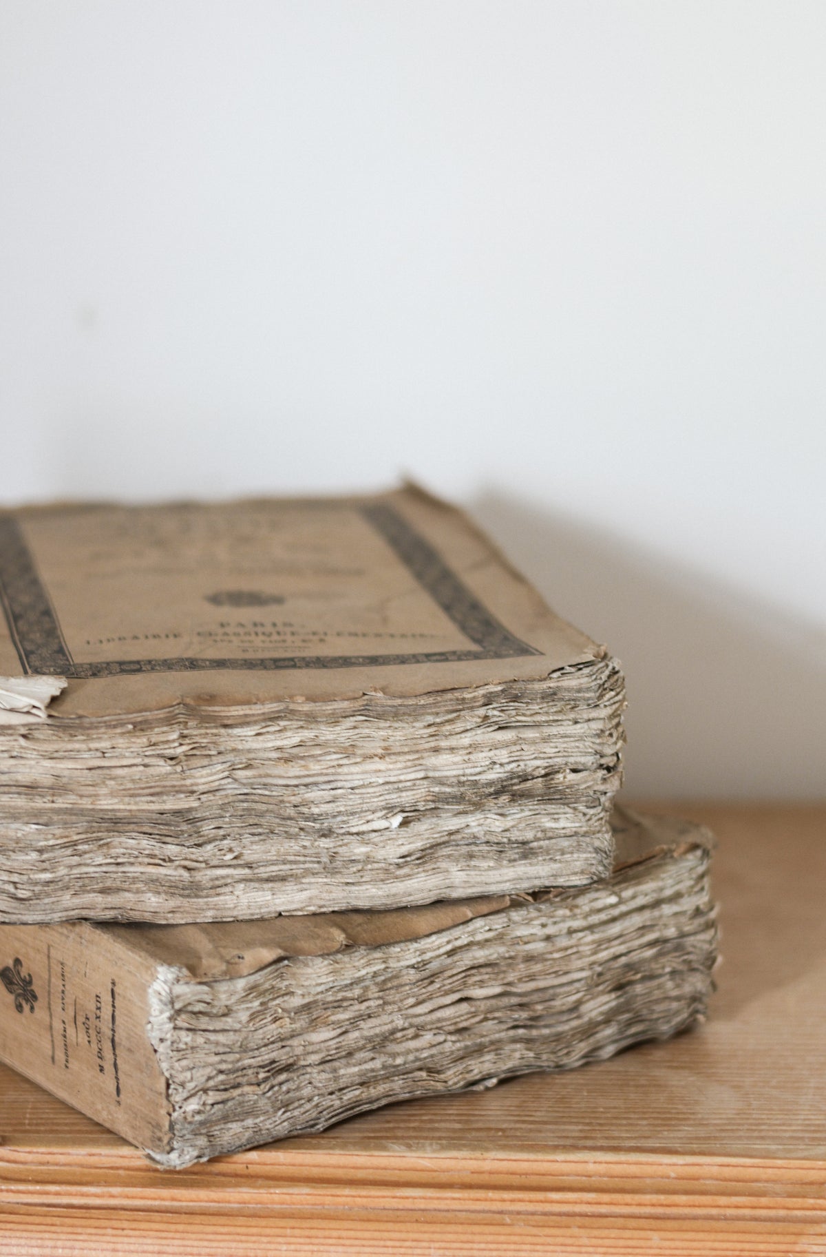 Pair of Antique French Rag Books