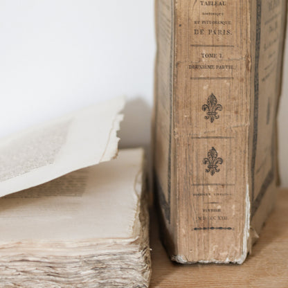 Pair of Antique French Rag Books